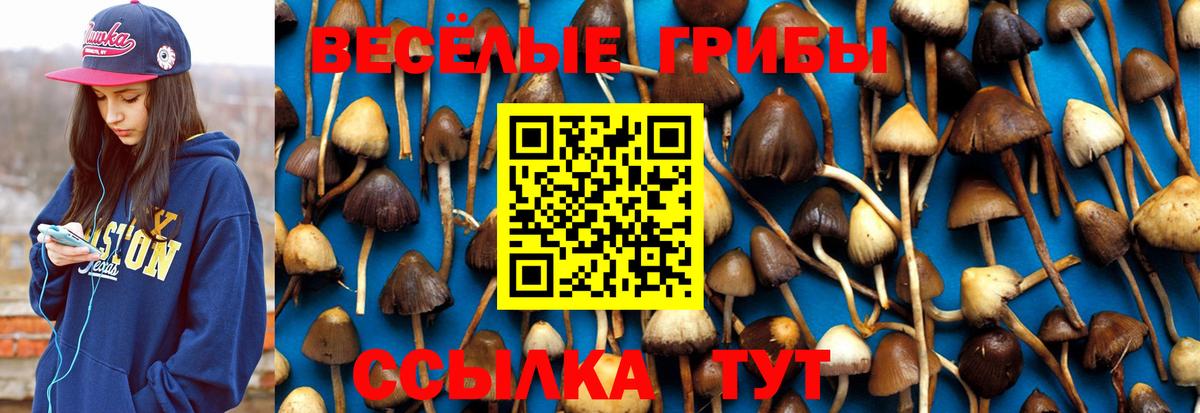 Псилоцибиновые грибы прущие грибы  Вход с VPN  Ялуторовск  Галлюциногенные грибы мухоморы 